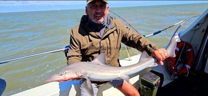 12 lb Smooth-hound by James