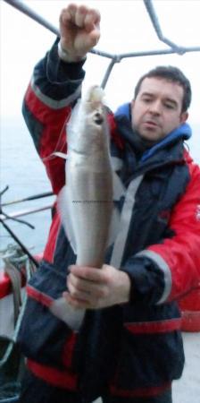 1 lb 6 oz Whiting by Unknown