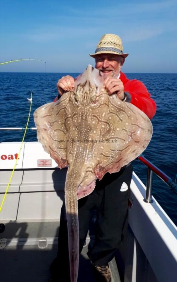 17 lb Undulate Ray by Graham
