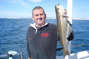 6 lb Pollock by Mr Sains