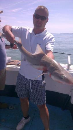 10 lb Smooth-hound by darren