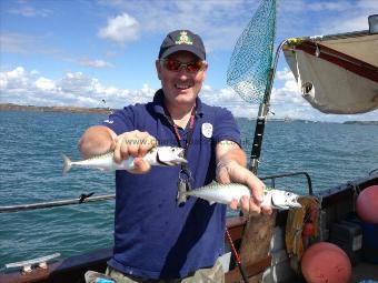 12 oz Mackerel by Cardiff Boys