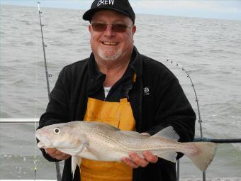 4 lb Cod by Dave Jones