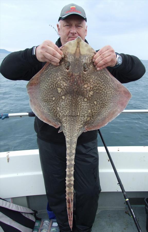 14 lb 8 oz Thornback Ray by Medwyn Jones