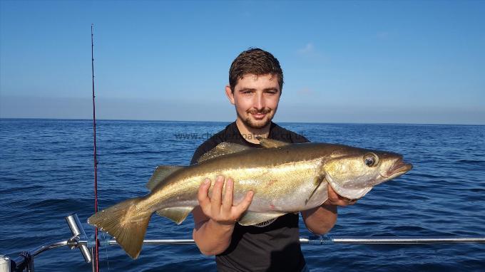 10 lb 4 oz Pollock by Rob