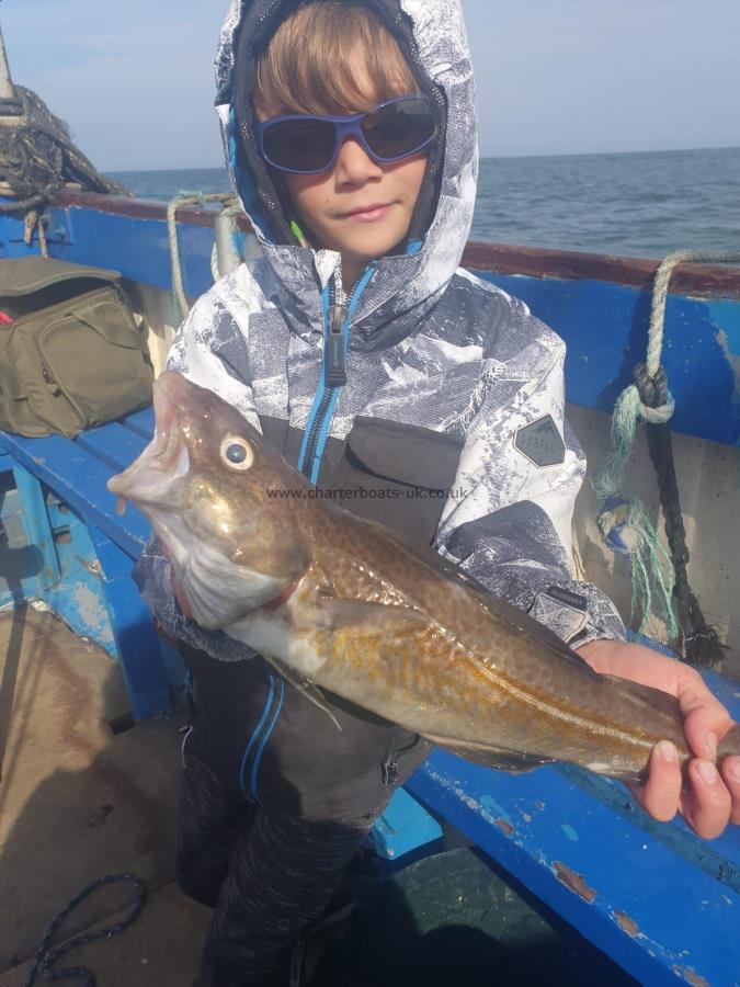 2 lb 8 oz Cod by Unknown