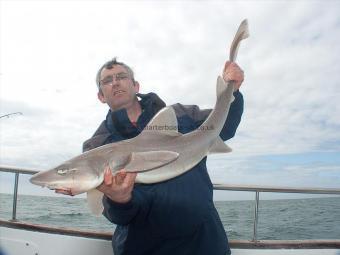 15 lb 8 oz Starry Smooth-hound by Ian Tomo