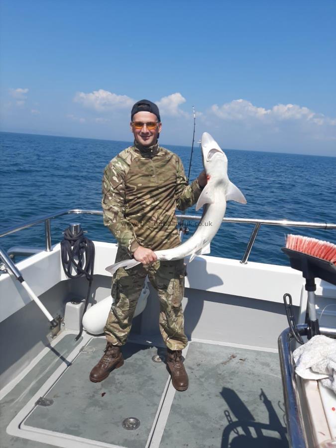 21 lb Smooth-hound (Common) by Andrew Monk