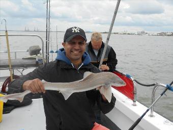 4 lb Starry Smooth-hound by Nick