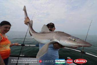 14 lb Starry Smooth-hound by Alf