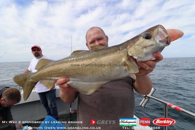 8 lb Pollock by John