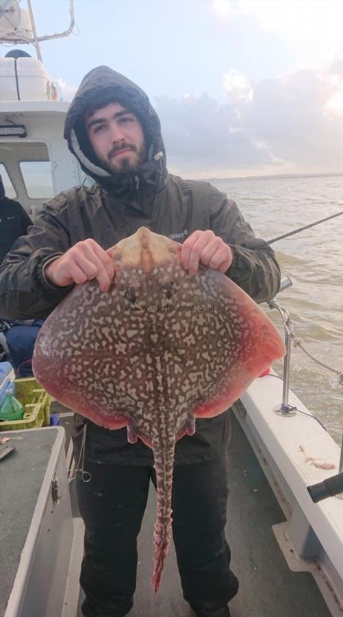 7 lb Thornback Ray by Daniel