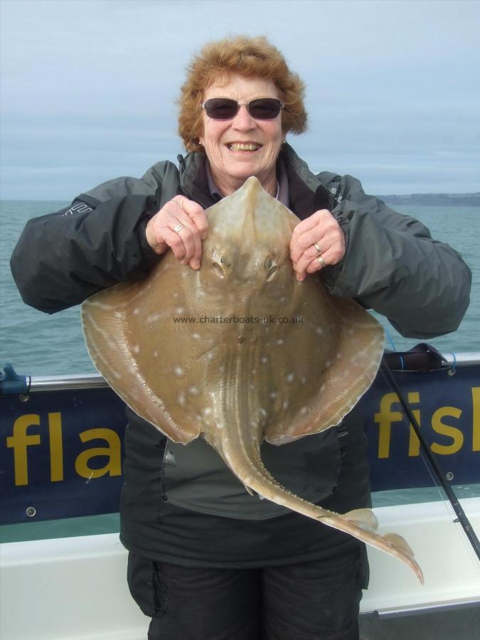 8 lb Small-Eyed Ray by Denise Yongs