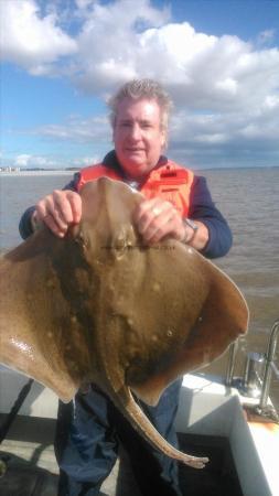 14 lb Blonde Ray by john