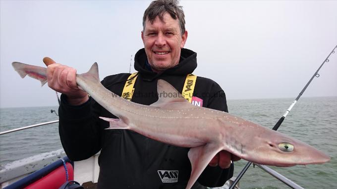 6 lb 4 oz Smooth-hound (Common) by Bill from medway
