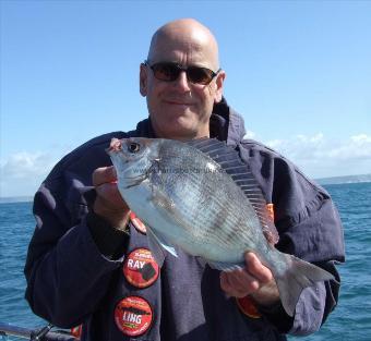 2 lb 8 oz Black Sea Bream by John Billett