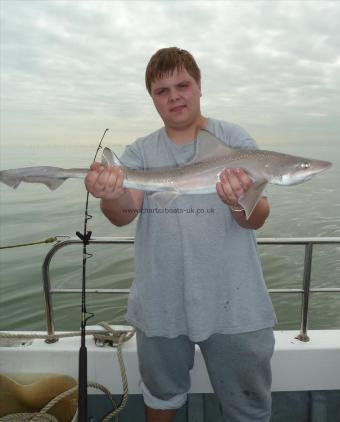 6 lb 4 oz Starry Smooth-hound by Bob Marshall