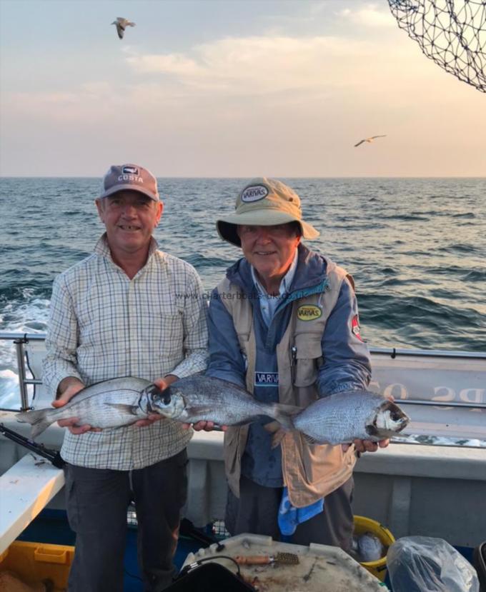 2 lb 8 oz Black Sea Bream by Unknown