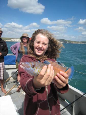 1 lb Cuckoo Wrasse by 11 yr old Felix