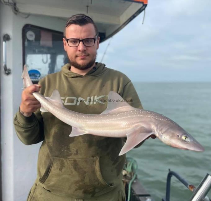 6 lb Smooth-hound by Unknown