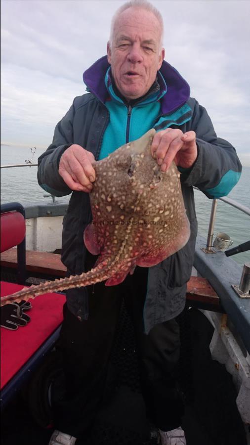 6 lb 2 oz Thornback Ray by Doug from London