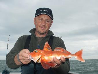 1 lb Red Gurnard by Mike Butterworth