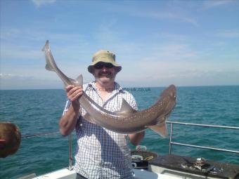 16 lb 5 oz Starry Smooth-hound by tony