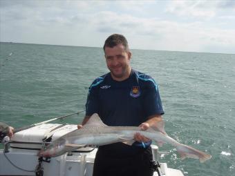 11 lb 7 oz Starry Smooth-hound by Dan