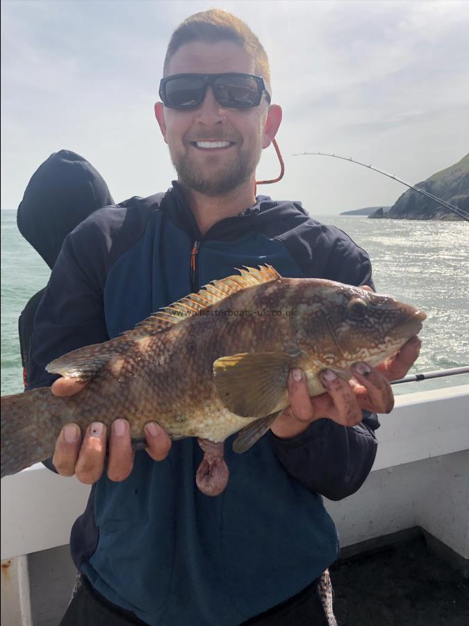 4 lb 8 oz Ballan Wrasse by Unknown