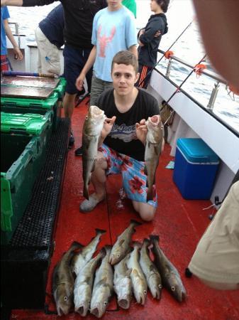 6 lb 2 oz Cod by Unknown