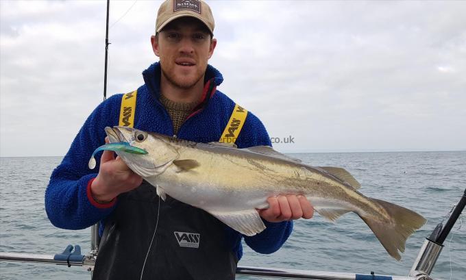 7 lb 2 oz Pollock by Dan