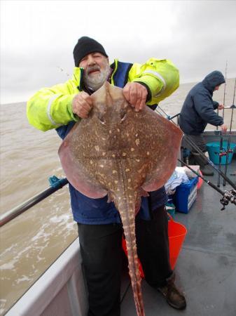 20 lb 6 oz Thornback Ray by Richard Lusher