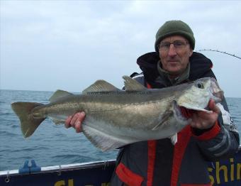 15 lb Pollock by Nigel Powis