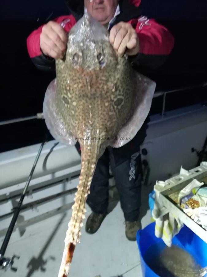 8 lb Thornback Ray by Ian Scott