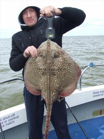 14 lb 8 oz Thornback Ray by Unknown