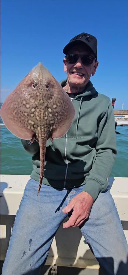 3 lb Thornback Ray by Ray
