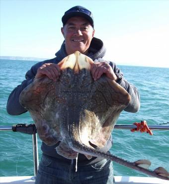 15 lb Undulate Ray by John Golding