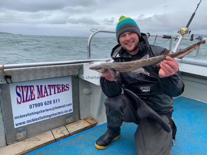 1 lb 8 oz Black-Mouthed Dogfish by Ross