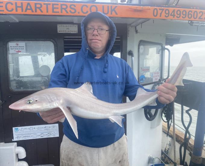 5 lb Smooth-hound (Common) by Unknown