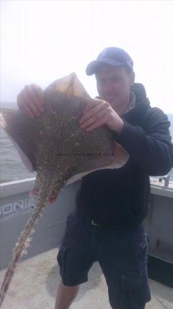 7 lb 3 oz Thornback Ray by chris from greenwich