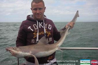 12 lb Starry Smooth-hound by Martyn