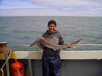 18 lb 6 oz Tope by Lewis's first tope.