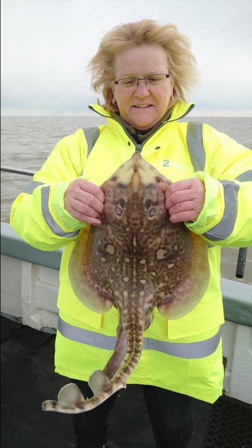 5 lb Thornback Ray by Carol