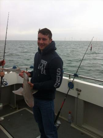 10 lb Smooth-hound by Unknown
