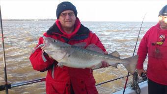 11 lb Cod by anthony bissmier