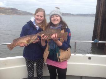 3 lb Ballan Wrasse by Rowena and Lizzie