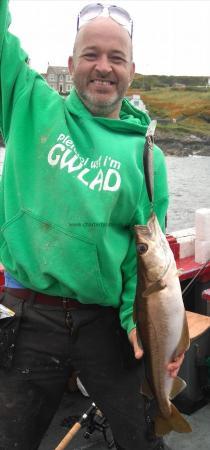 4 lb Pollock by welsh dave