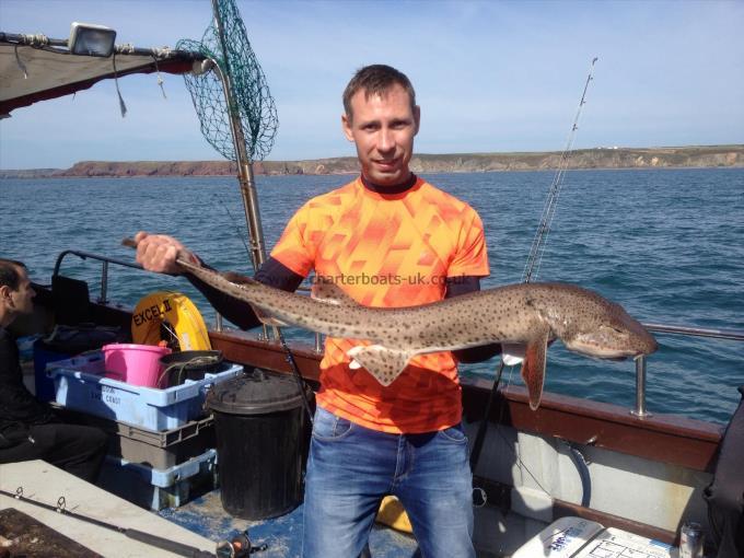 12 lb Bull Huss by Lithuanian fishing team