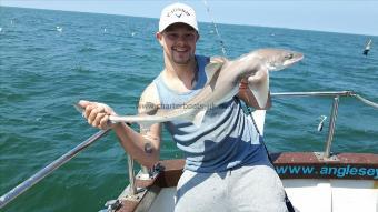 6 lb 7 oz Smooth-hound by Adam