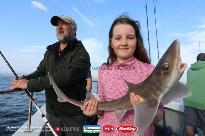 5 lb Starry Smooth-hound by Lilly